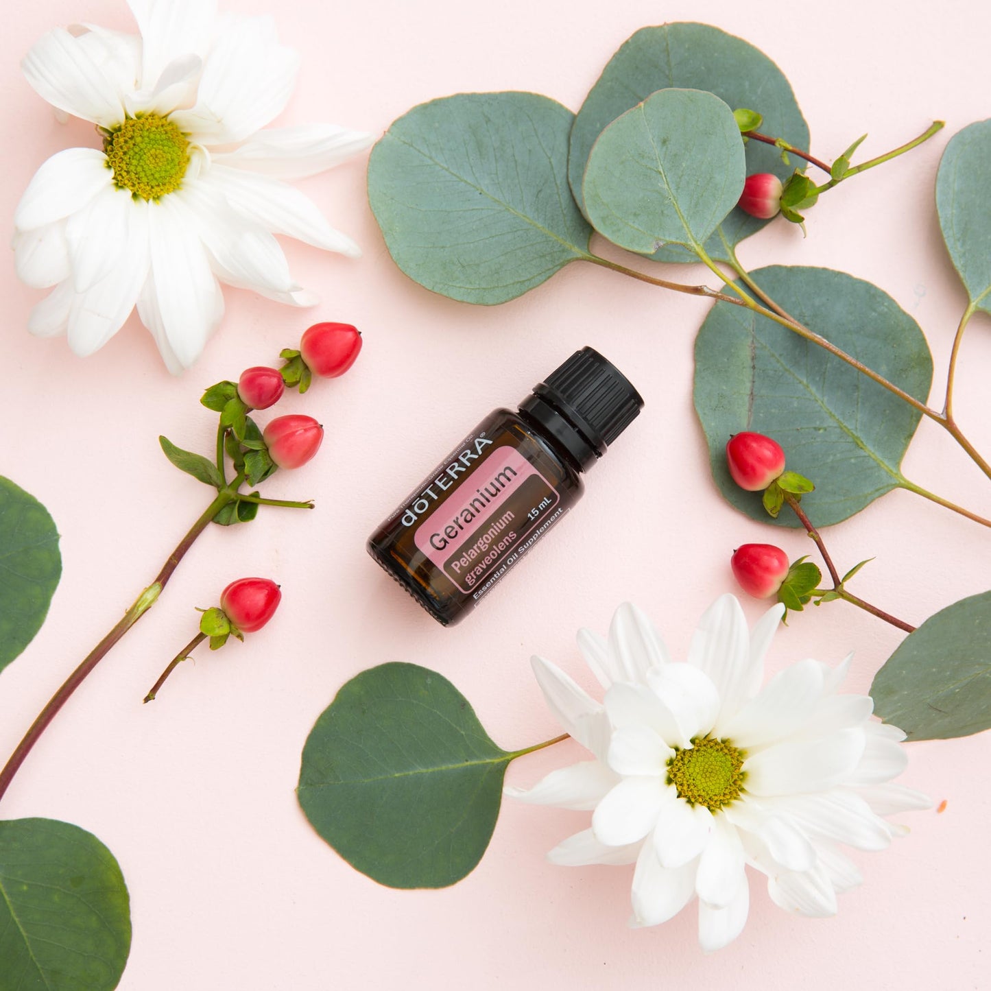 doTERRA Geranium Essential Oil - Promotes the Appearance of Clear, Healthy Skin, Naturally Repels Insects, Gives Hair a Vibrant, Healthy Glow; For Diffusion, Internal, or Topical Use - 15 ml