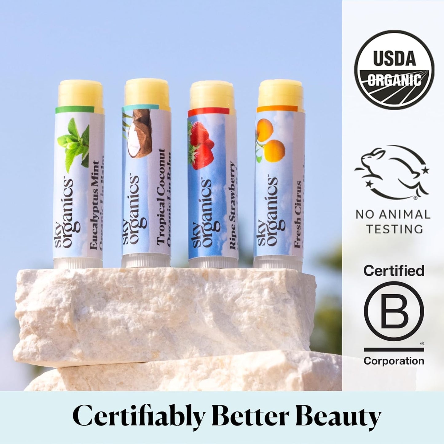 Sky Organics Raisin Tinted Lip Balm for Lips to Moisturize, Soften & Add A Wash of Color, 4pk.