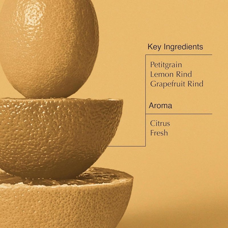 Aesop Citrus Melange Body Cleanser Refill | Gentle Low-Foaming Gel Cleanser for Skin | Citrus Aroma with Botanical Extracts | 16.9 oz / 500 mL (Pack of 3)