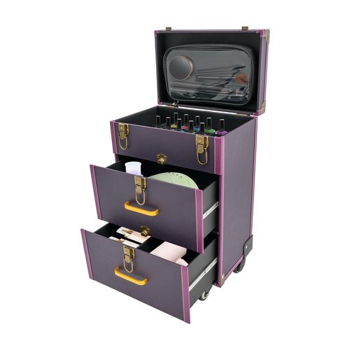 Rolling Makeup Case with Drawers&4 Wheel, Cosmetic Case Trolley, Make Up Suitcase Cosmetic Trolley, Portable Multifunction Makeup Suitcase, Jewelry Travel Cosmetic Train Case (Purple+Bronze Color)