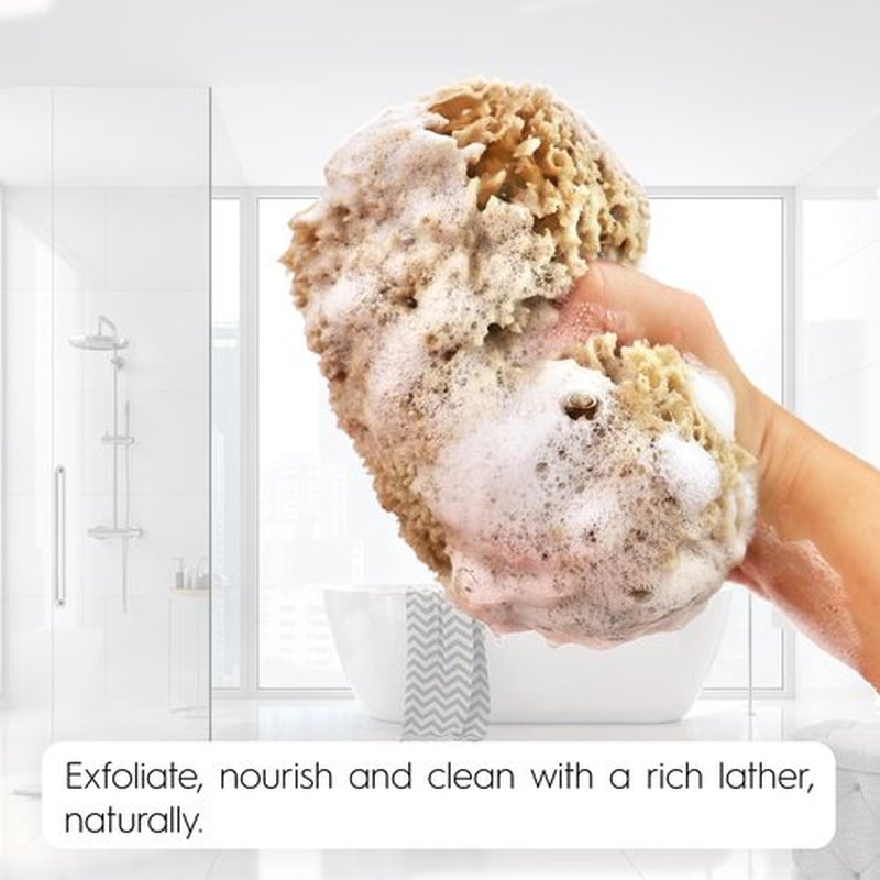 Naroa Exfoliating Natural Sponge for Bathing | Bath Sea Sponge for Healthy Skin | Unbleached Shower Body Scrubber Puff | Eco Friendly Plastic Free Sponge (Exfoliate - Large)