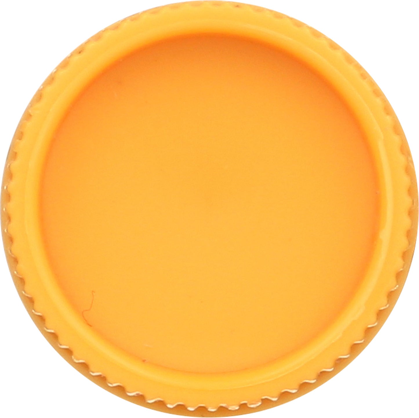 Burt's Bees Moisturizing Lip Balm, Vanilla Bean, 0.15 Ounce