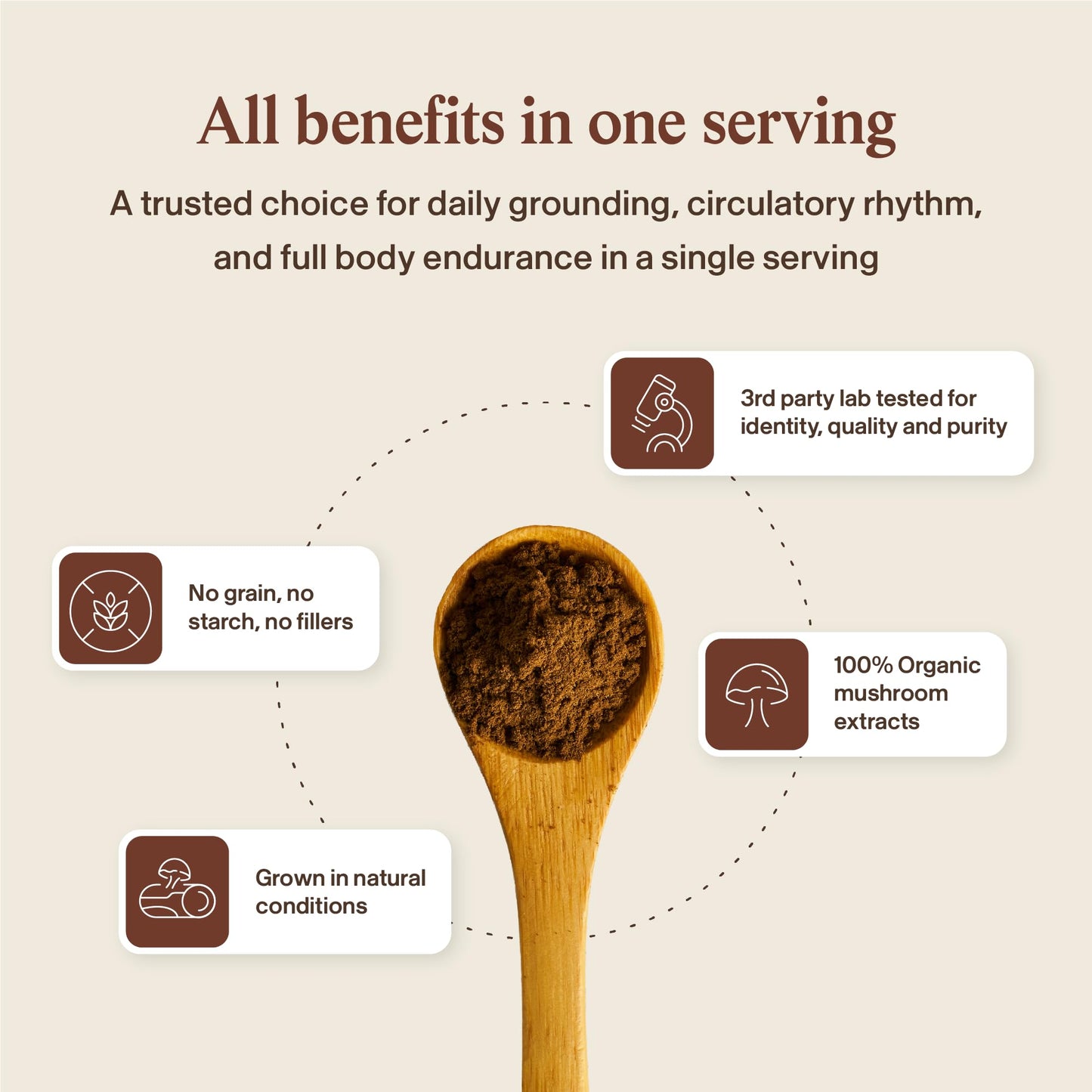 Real Mushrooms Reishi Mushroom Powder - Handpicked Organic Mushroom Extracts - Red Reishi for Tranquil Daily Wellness with Verified Beta Glucans Vegan, Non-GMO, No Grain Fillers, 100 Servings