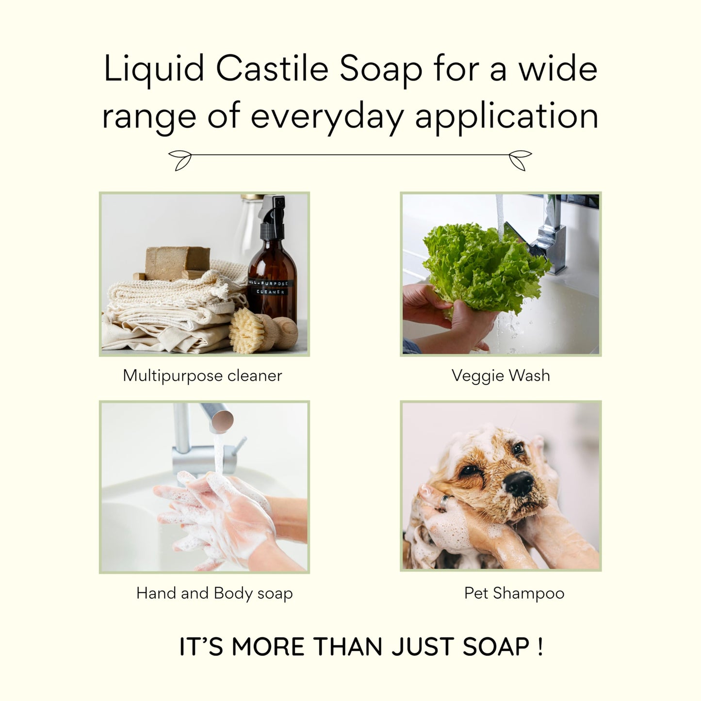 Claya Ambrette Liquid Castile Soap – Organic Ingredients, Biodegradable, Gentle for Sensitive Skin and Versatile Use (16 fl oz (Pump Cap))