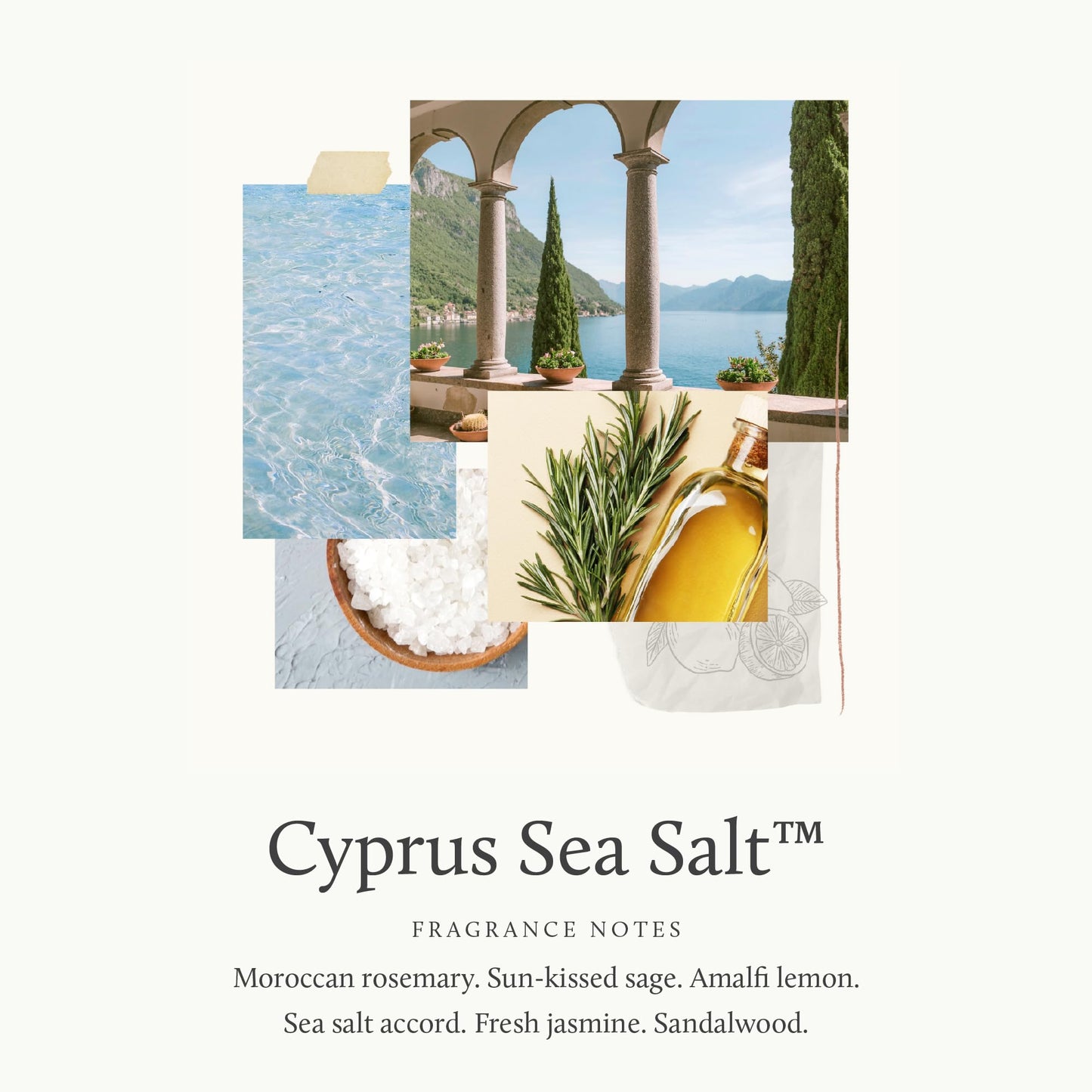 Thymes Hard-Working Hand Cream - Hand Moisturizer with Shea Butter, Sunflower Seed Oil & Pro-vitamin B5 - For Women & Men - Travel Size - Skin Care (Cyprus Sea Salt, 2.5 fl oz)