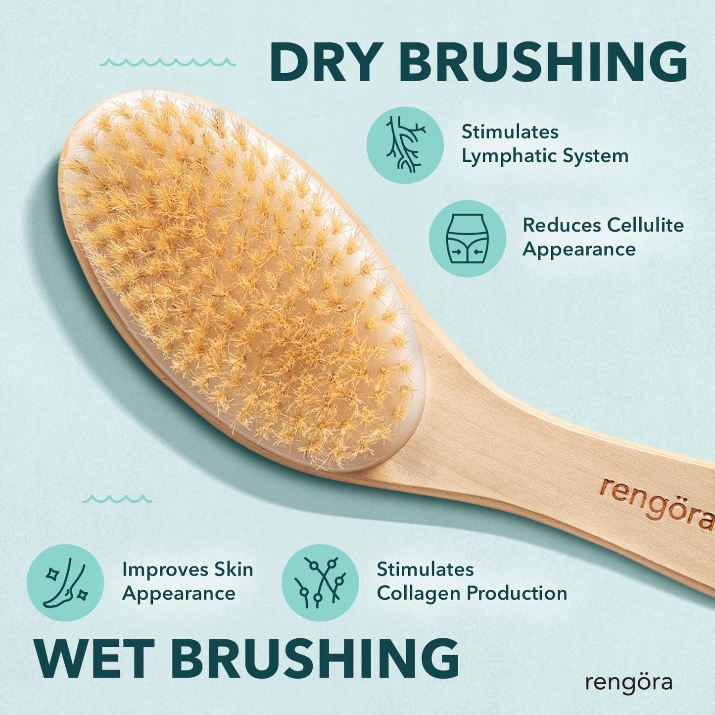 Dry Brushing Body Brush, Body Scrubber Dual-Use for Wet/Dry Exfoliating, Great for Lymphatic Drainage, Natural Boar Bristles, Ergonomic Handle, Makes a Nice Gift by Rengora