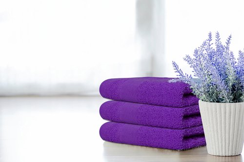 Premium Wash Cloths Pack of 12 (13" x 13" Inches)- 100% Combed Ring Spun Cotton WashCloth - Luxury Washcloths – Ultra Soft Face Towels - Highly Absorbent Wash Cloth for Face (Purple)