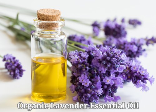 SWC Face Oils (Lavender Rose)