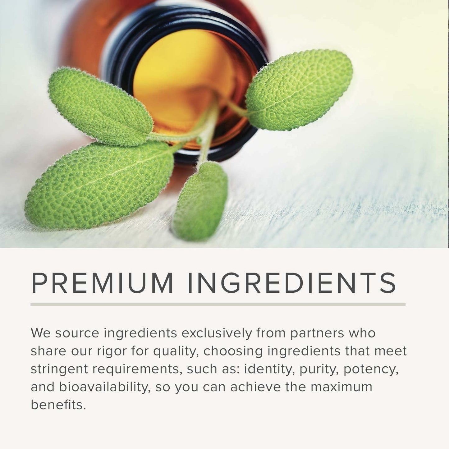 Integrative Therapeutics Liquid Calcium Magnesium - Liquid Supplement that Supports Bone Health* - Includes Vitamin D3 & a Magnesium Complex - Gluten-Free & Dairy-Free - Berry, 16 oz (32 Servings)