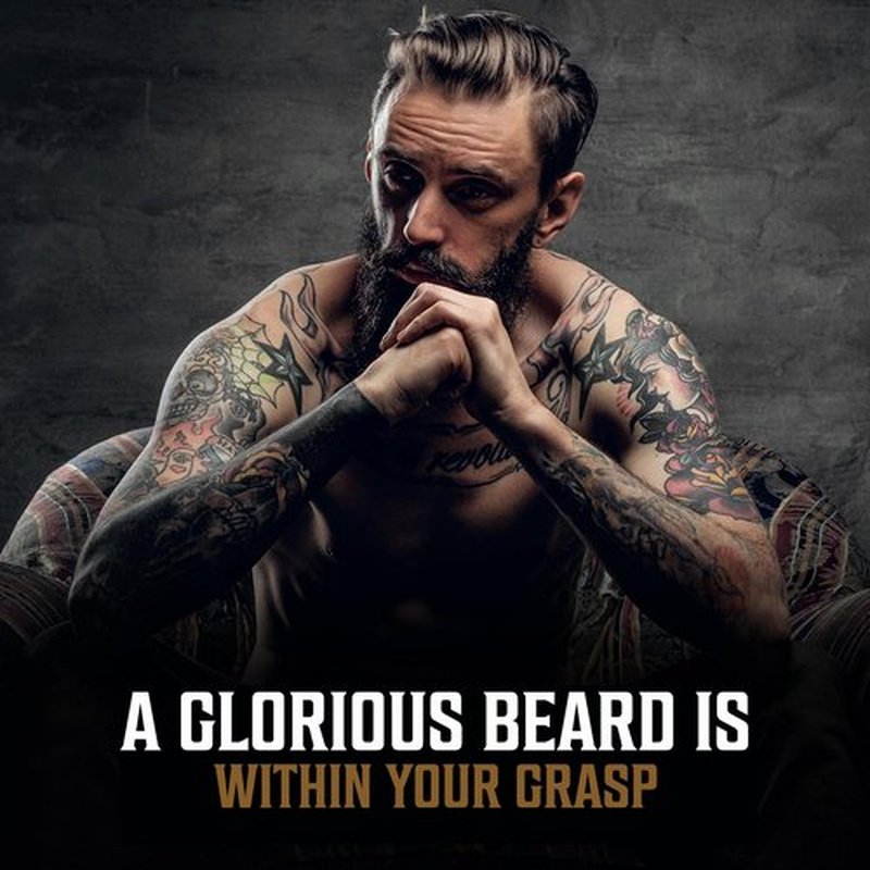Viking Revolution Palo Santo Beard Oil for Men - Natural Mens Beard Oil with Argan Oil and Jojoba Oil - Beard Softener, Strengthens and Moisturizes - Beard Conditioner for Men (Palo Santo, 1 Pack)