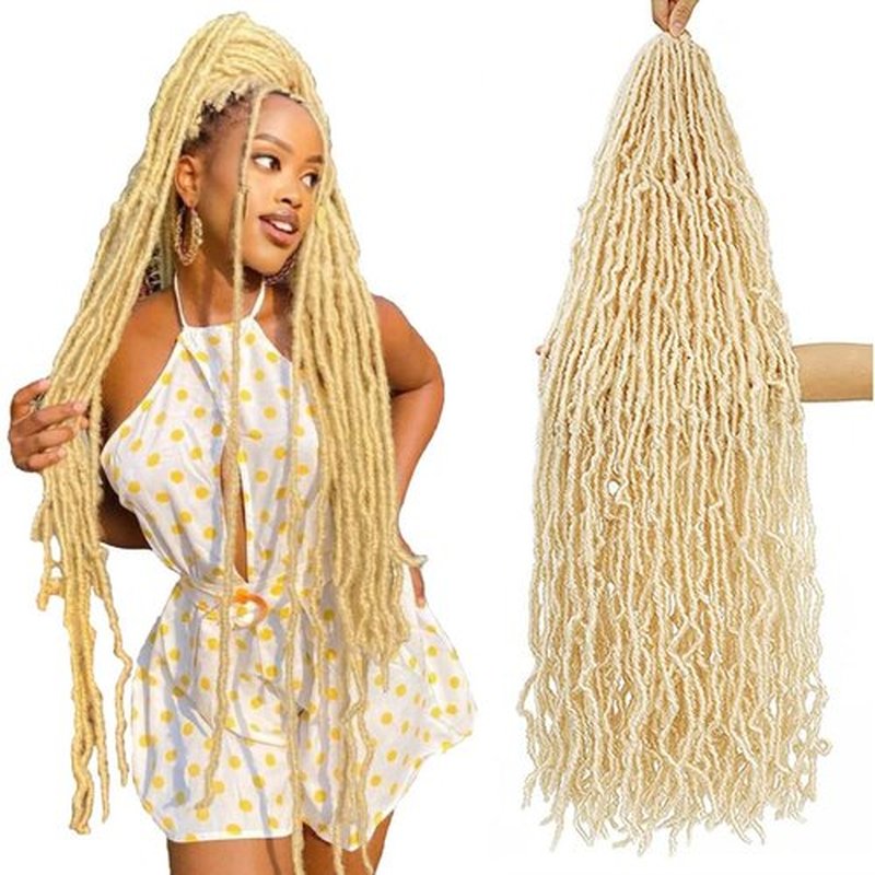 24Inch Soft Locs Crochet Hair 2 Packs Faux Locs Crochet Hair (24 Inch (Pack of 2), 613#) …