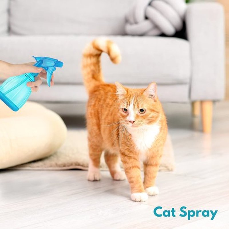 DilaBee Plastic Spray Bottles - 12oz (3 Pack) Water Spray Bottle for Hair, Gardening, Grilling & Cleaning Solution - Empty Spray Bottles for Cat - Small Spray Bottle