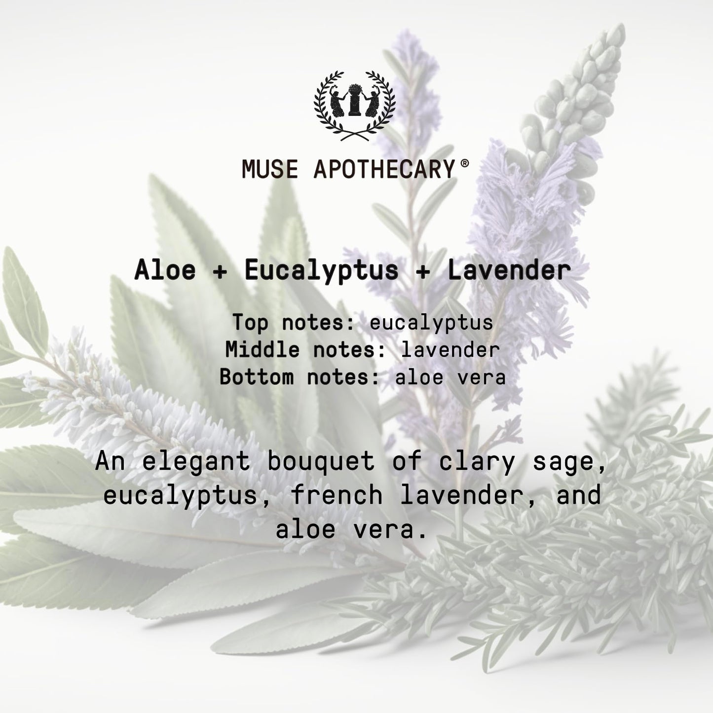 Muse Apothecary Hand Ritual - Aromatic and Nourishing Foaming Hand Soap, Infused with Natural Aromatherapy Essential Oils - USDA Certified Biobased - 11.5 oz, Aloe + Eucalyptus + Lavender