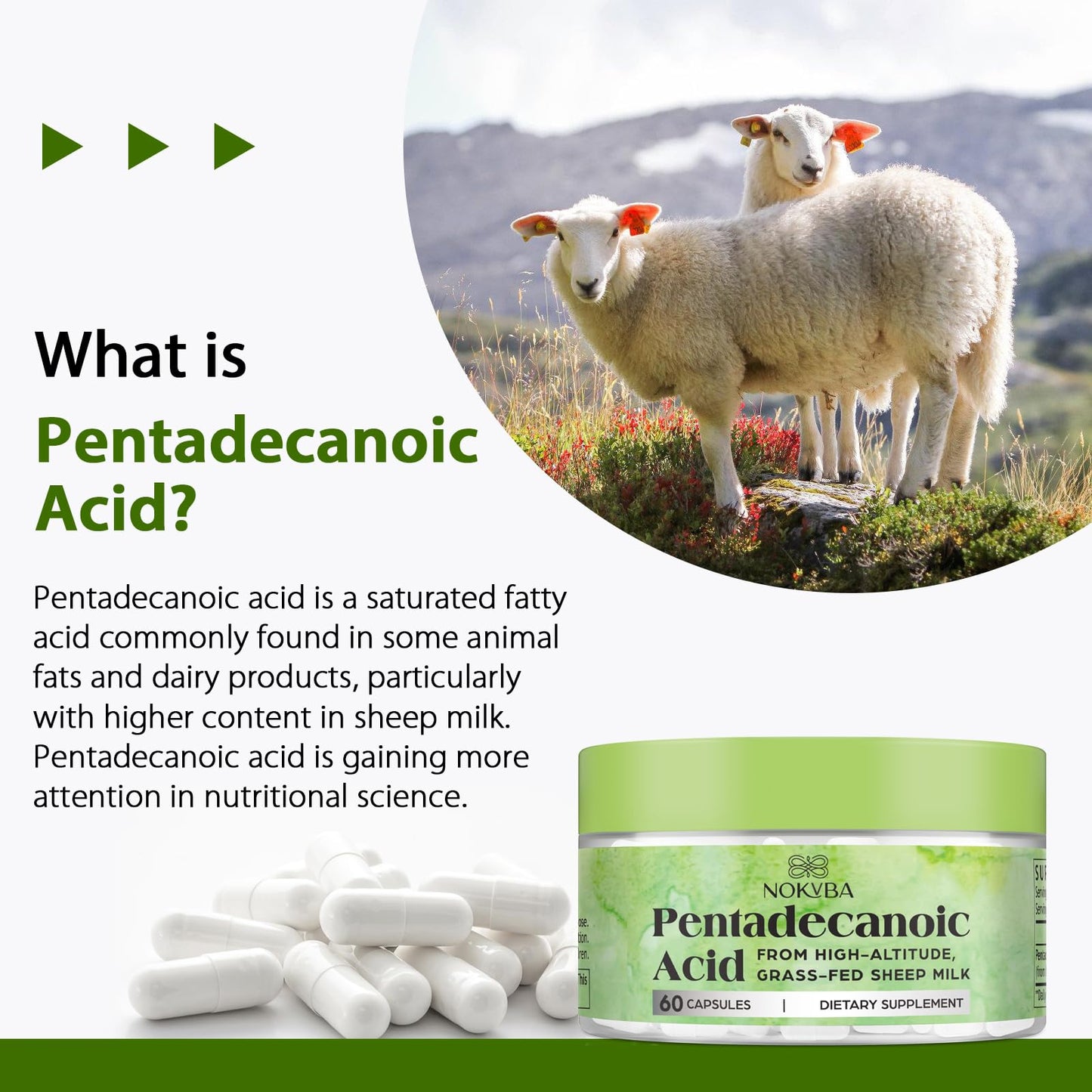 Nokuba Pentadecanoic Acid C15:0 Supplements 300mg High-Altitude Sheep Milk Sourced | 60 Capsules