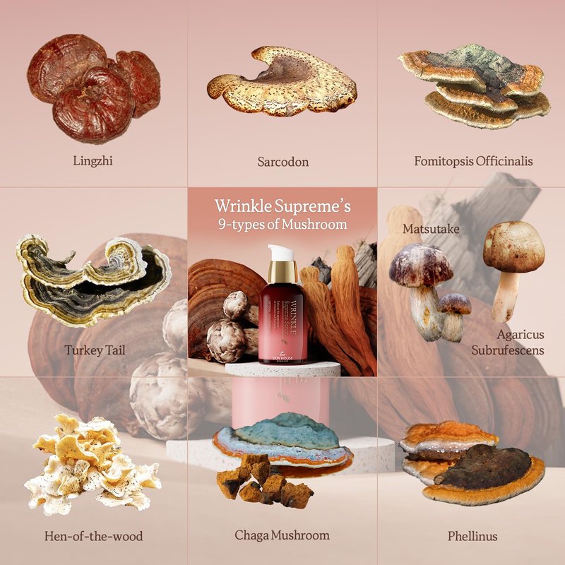 SKIN HOUSE Wrinkle Supreme Serum - Korean Red Ginseng & Mushrooms | Firming & Lifting | 0.67 fl. oz. Trial Size