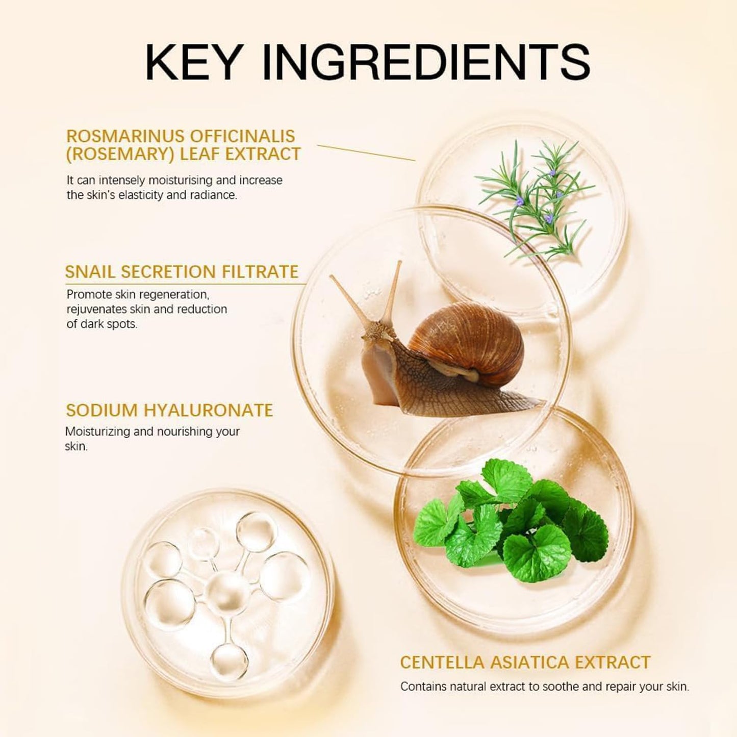 Snail Mucin Serum, Snail Secretion Filtrate, Snail Mucin, Power Repairing Essence