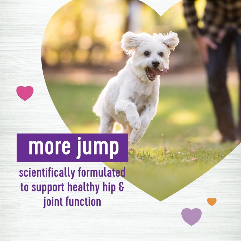 Wellness Grilled Chicken Soft Chews - Hip & Joint Health Supplements for Dogs | 45 Count