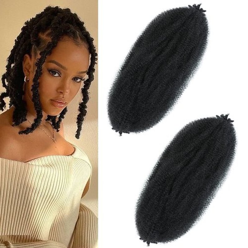 12 Inch Springy Afro Twist Hair 2 Packs Marley Twist Braiding Hair Pre-fluffed Spring Twist Hair Kinky Hair Afro Twist Hair Marley Hair for Faux Locs (12 Inch (Pack of 2), 1B# Marley Twist)