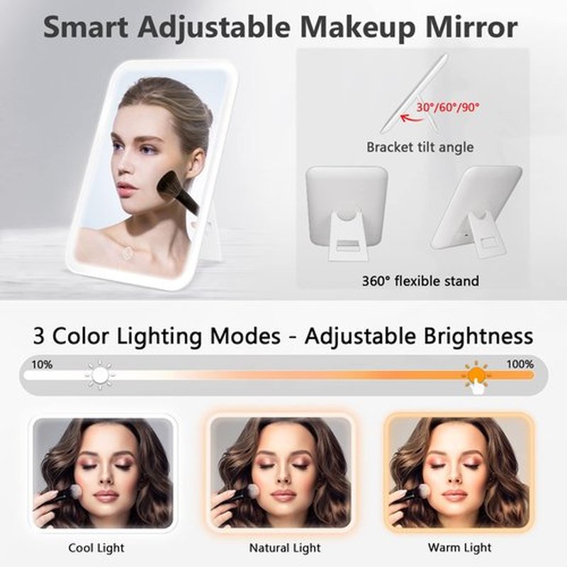PEEH Travel Makeup Bag with Mirror of LED Lighted, Makeup Train Case with Adjustable Dividers and 10x Magnifying Mirror, Cosmetics Organizer for Women (Black)