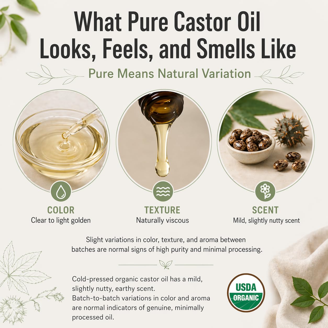 J MAC BOTANICALS Organic Castor Oil Cold Pressed in Amber Glass Bottle (4 oz with Dropper) USDA Certified, Hexane Free - Moisturizing Oil for Hair, Skin, Face, Eyelashes, Brows, & Nails