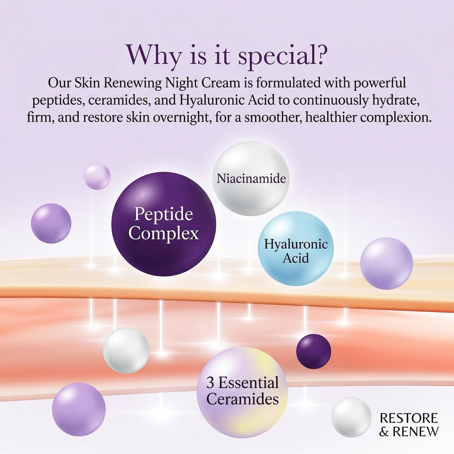 Skin Renewing Night Cream Face Moisturizer with Niacinamide, Peptide Complex, Hyaluronic Acid & Ceramides | Visibly Reduces Fine Lines & Enhances Skin Elasticity | For All Skin Types, 1.76 fl.oz