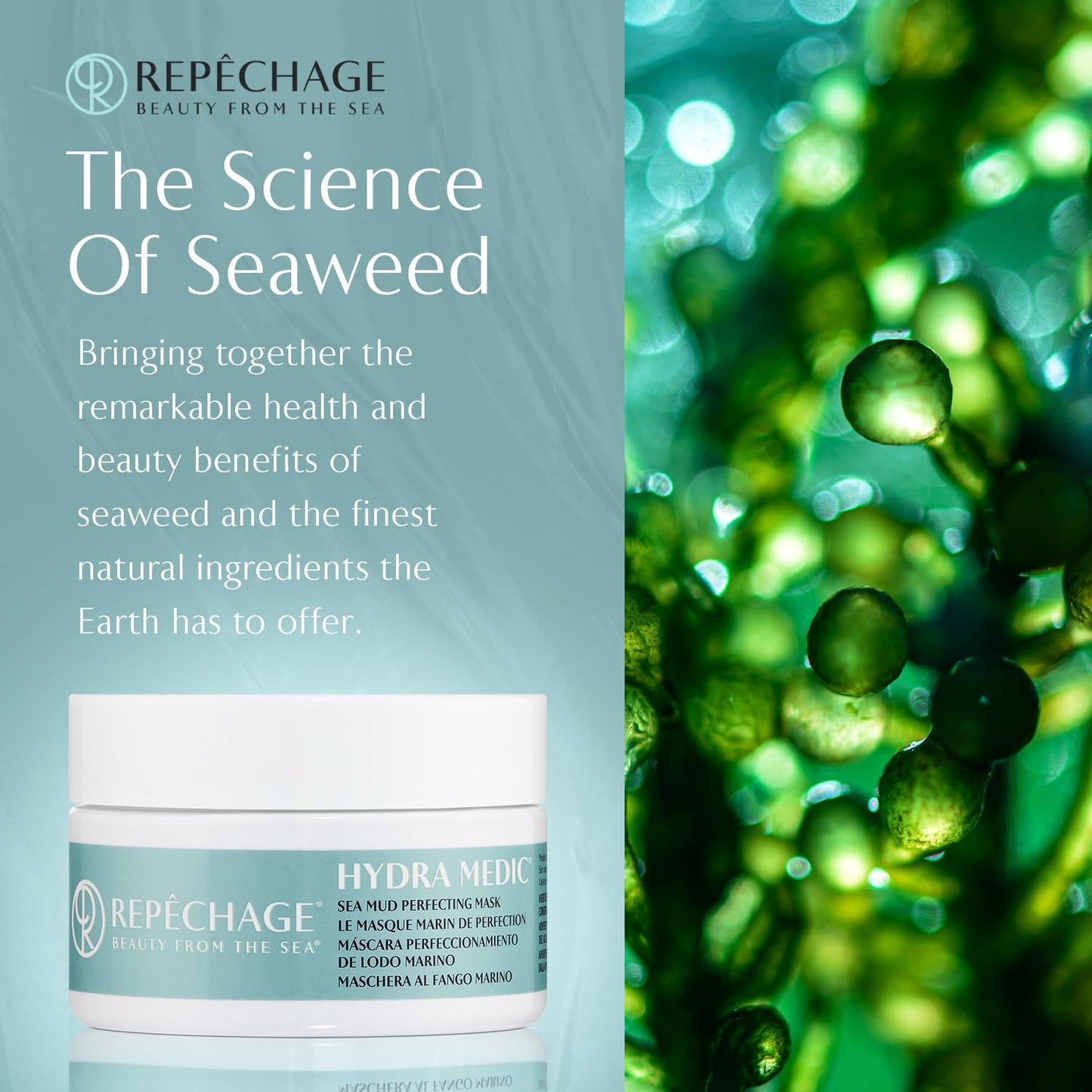 Repechage Sea Mud Mask – Deep Pore Cleansing Clay Face Mask with Seaweed for Women and Men, Exfoliating Mud Mask for Oily, Dry, Sensitive, Problem Skin, for Clearer, Smoother Complexion, 4 fl oz