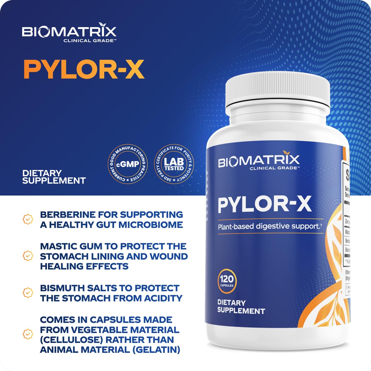 BioMatrix H Pylori Supplement, Mastic Gum, Berberine, Zinc Carnosine & Bismuth Salts, Probiotic Alternative, Gut Formula, 120 Capsules, 30-60 Day Supply