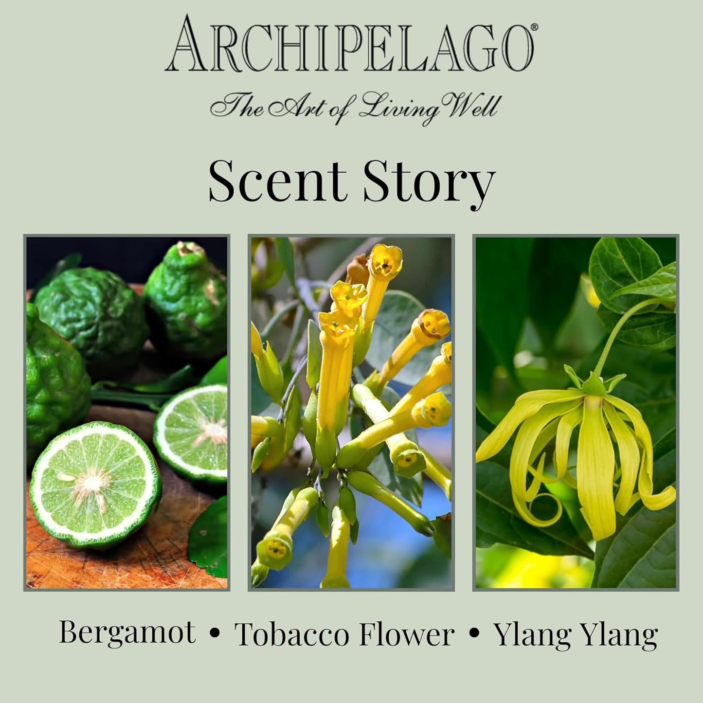 Archipelago Botanicals Kashmir Glass Jar Candle, Kashmir Vanilla, Orange Blossom and Sandalwood Scent, Lead-Free Candle Wicks, Burns Approx. 60 Hours (8.6 oz)