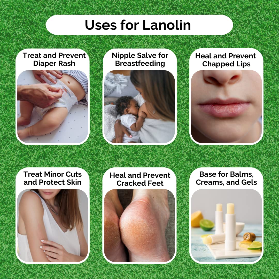 Kyabo Pure Lanolin 4oz Jar - All-Natural Emollient for Dry Skin, Chapped Lips, and More - Moisturizing, Hydrating, and Soothing - Ideal for Skincare and DIY Beauty Products Organic (4oz Jar)