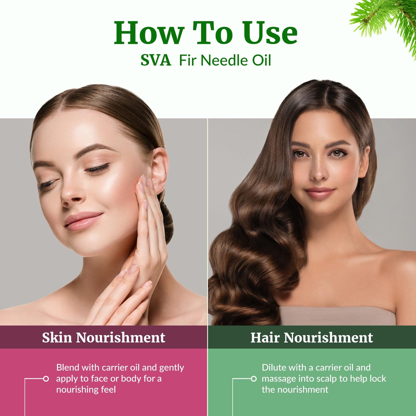 SVA Fir Needle Essential Oil, Glass Bottle with Dropper, 4 Fl Oz (118 ml)