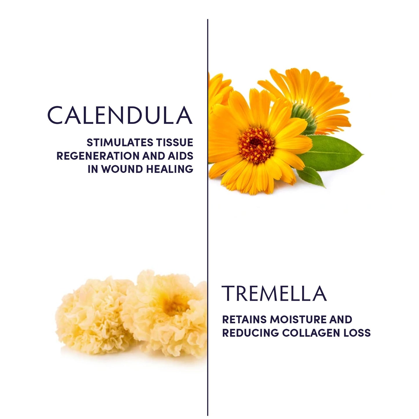 Naturopathica Tremella Body Butter – Calendula Deep Hydration – 6 oz