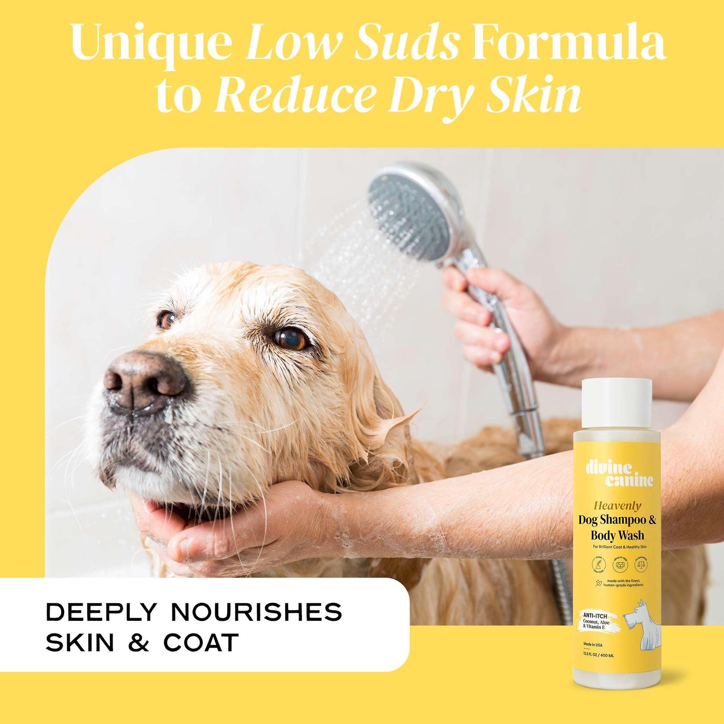 Divine Canine Anti-Itch Dog Shampoo & Body Wash - Sensitive Skin - 13.5oz