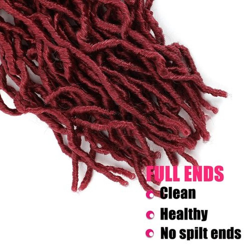 24Inch Soft Locs Crochet Hair 2 Packs Faux Locs Crochet Hair (24 Inch (Pack of 2), Bug) …