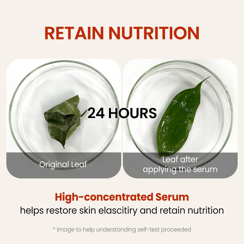SKIN HOUSE Wrinkle Supreme Serum - Korean Red Ginseng & Mushrooms | Firming & Lifting | 0.67 fl. oz. Trial Size