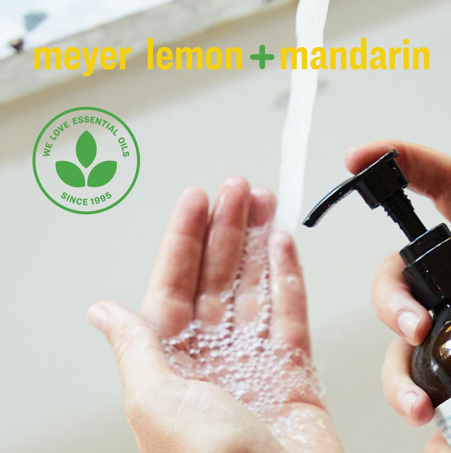 Everyone Hand Soap Refill, 32 Ounce (Pack of 6), Meyer Lemon and Mandarin, made with Essential Oils for kitchen and bathroom