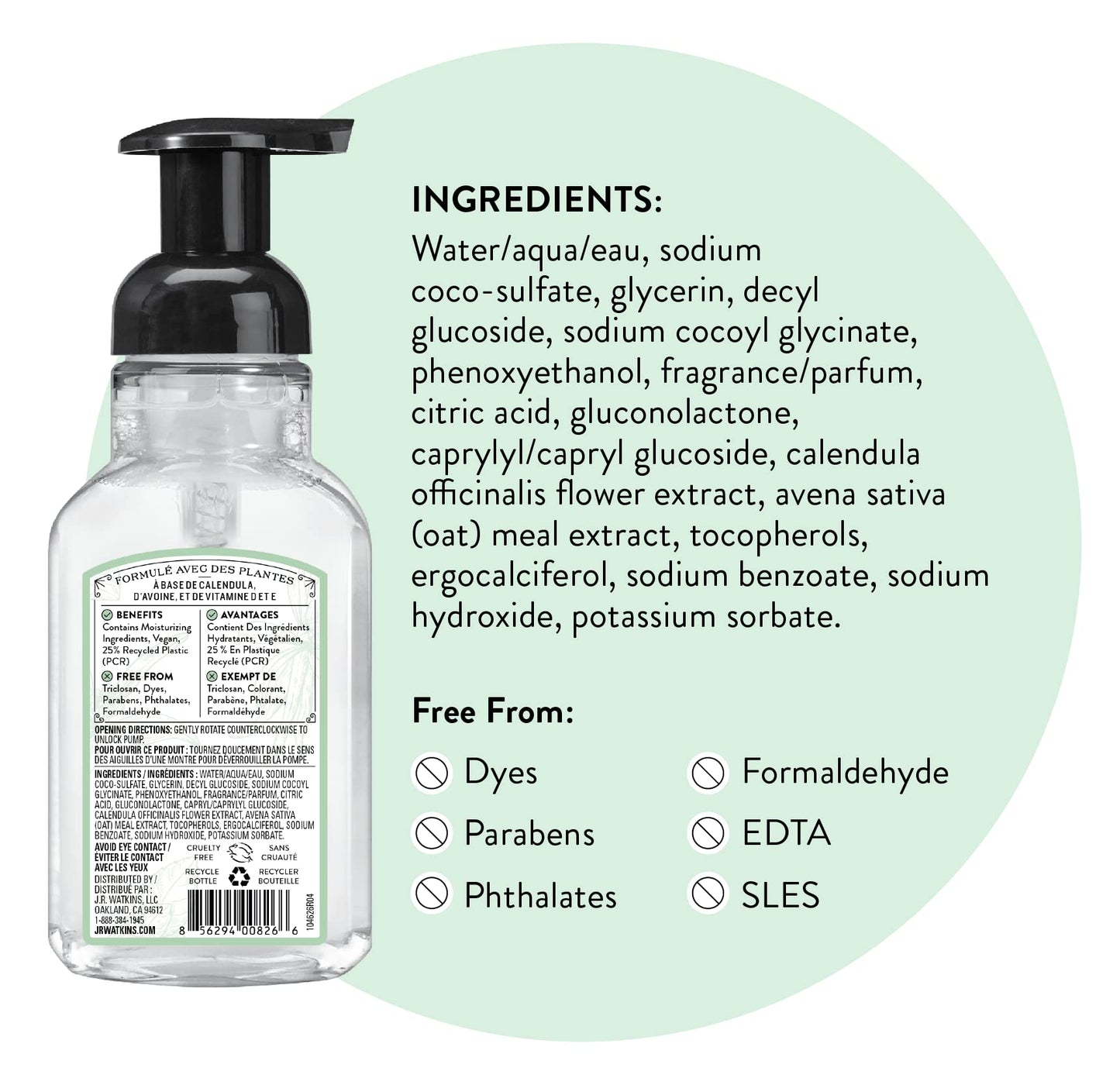 J.R. Watkins Foaming Hand Soap Pump with Dispenser, Moisturizing Hand Soap Foam, Alcohol-Free and Cruelty-Free, Use for Kitchen or Bathroom, Menthe a la Vanille/Vanilla Mint, 9 fl oz, 3 Pack