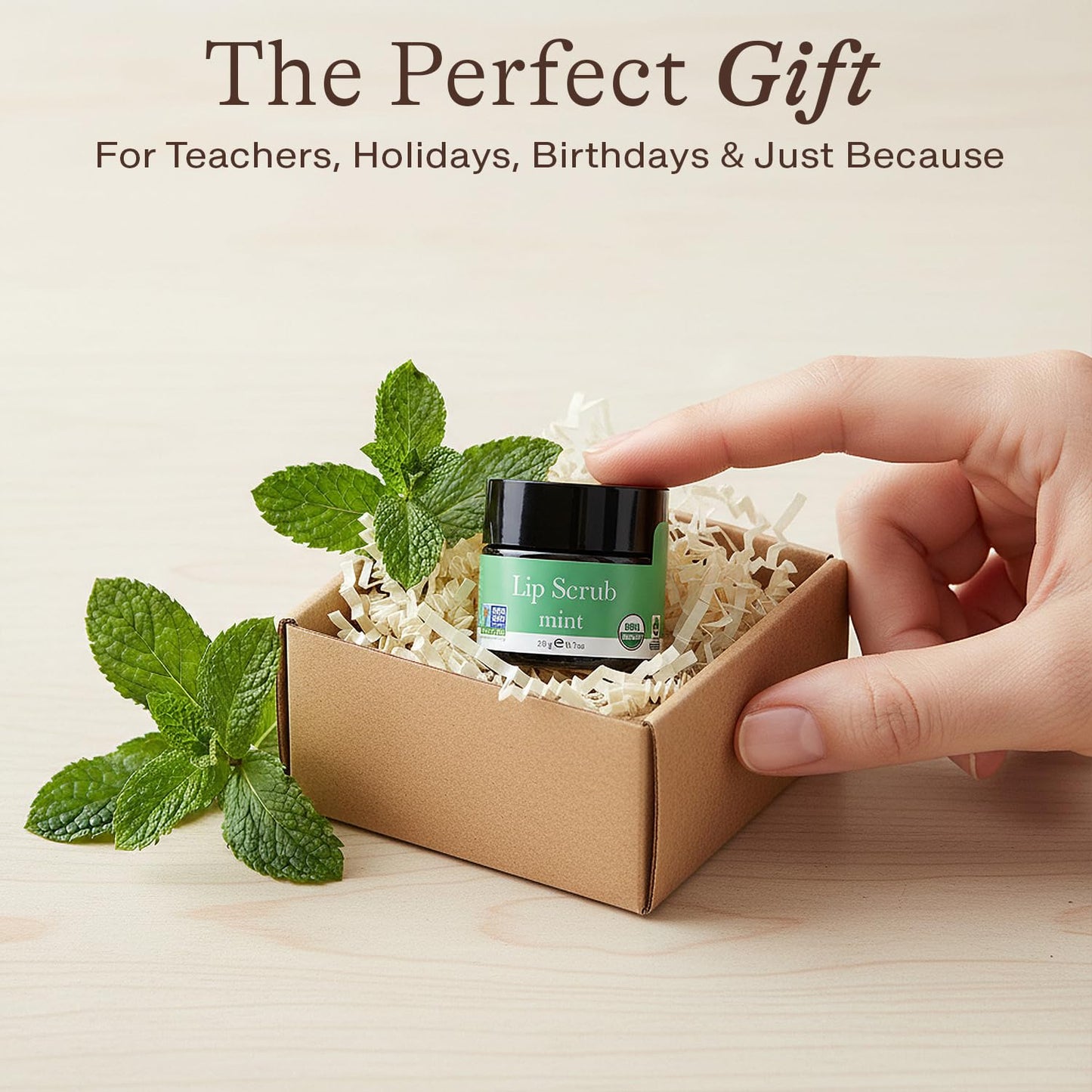 USDA Organic Lip Scrub Mint - USA Made with Natural Ingredients, Moisturizing Scrub Exfoliator for Dry Lips, Lip Sugar Scrubber Exfoliator for Smooth Lips, Small Beauty Gifts
