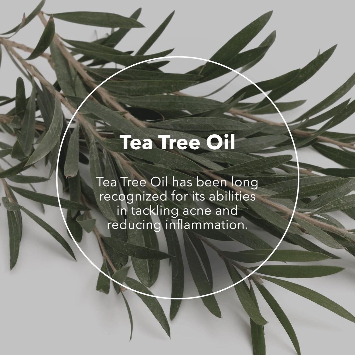 The Potions Serum for Face (Tea Tree Oil)