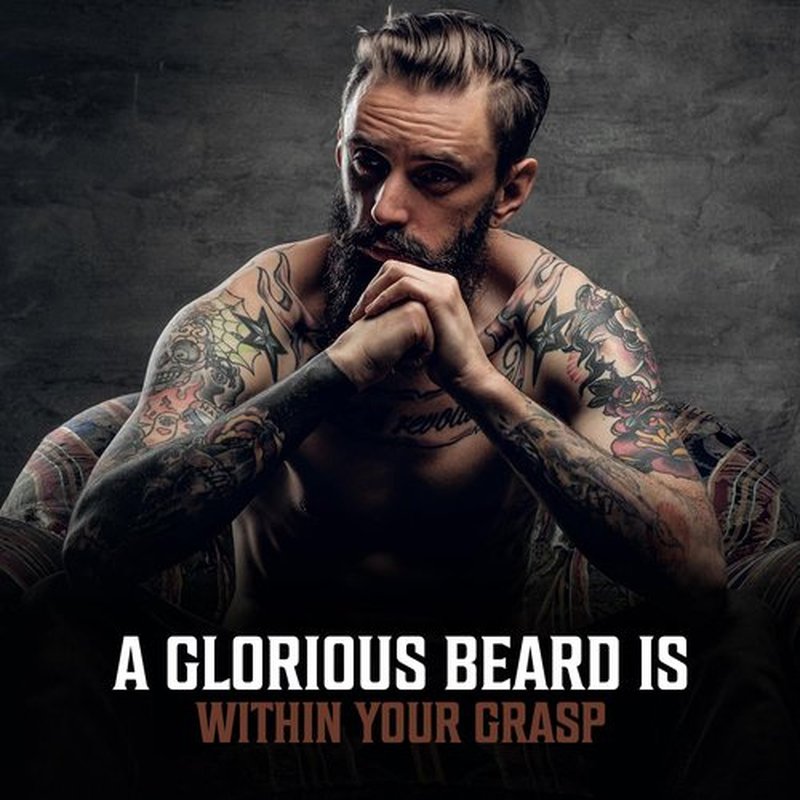 Viking Revolution Sandalwood Beard Oil for Men - Natural Mens Beard Oil with Argan Oil and Jojoba Oil - Beard Softener, Strengthens and Moisturizes - Beard Conditioner for Men (Sandalwood, 2 Pack)
