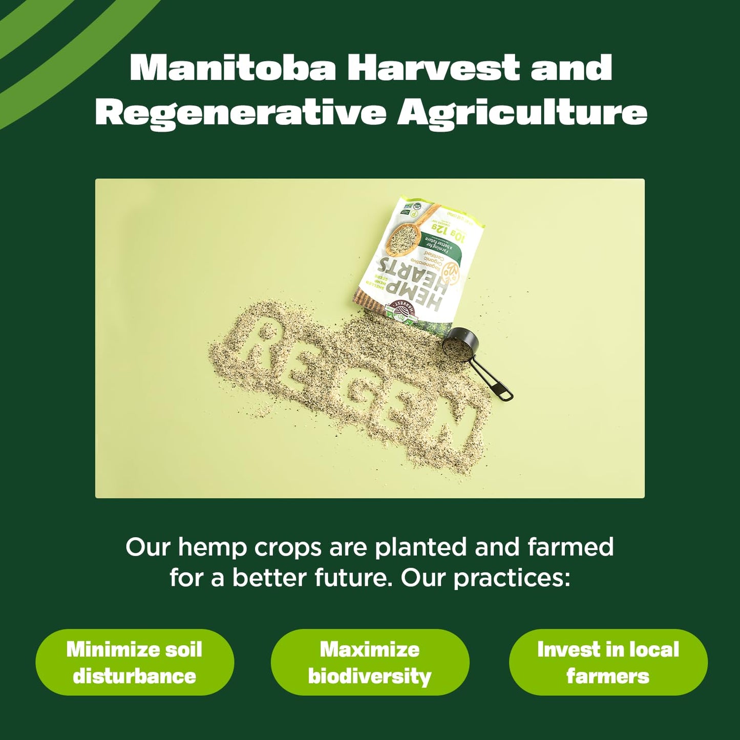 Manitoba Harvest Regenerative Organic Hemp Hearts, Shelled Hemp Seeds - 12oz - 10g Plant Protein & 12g Omega 3 & 6 per 30g Serving - Easy-to-Digest Super Seeds - Gluten Free, Non-GMO Project Verified