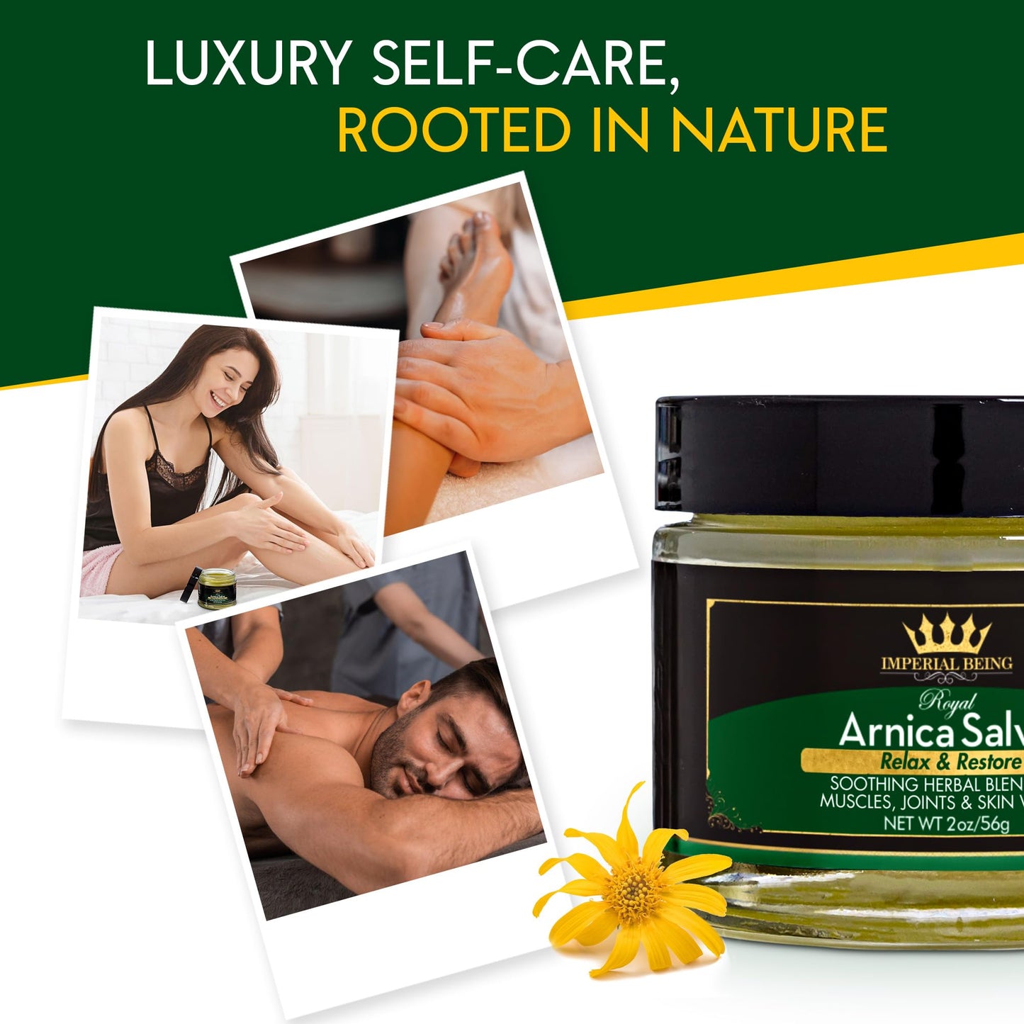 Royal Arnica Salve - Organic Bruise Care and Skin Recovery Balm, Natural Arnica Oil for Muscles, Joints, and Body Comfort, Botanical Massage Cream with Essential Oils, Herbal Relief Blend (2 oz)