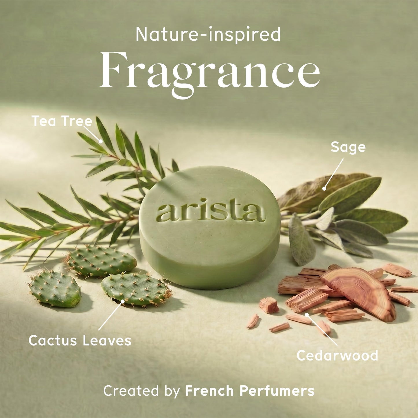 Arista Anti-Dandruff Shampoo Bar | Sulfate-Free, with Leaf Powder, Arnica & Tea Tree | Vegan Solid Shampoo Bar