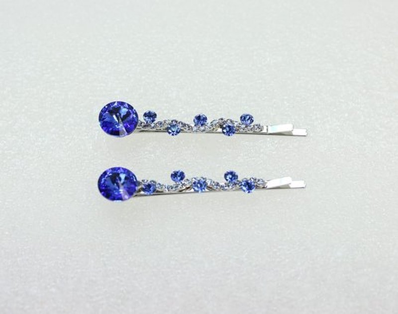 Faship A Pair Of Blue Premium Rhinestone Crystal Floral Hair Clips 2 Pcs Pins - Blue