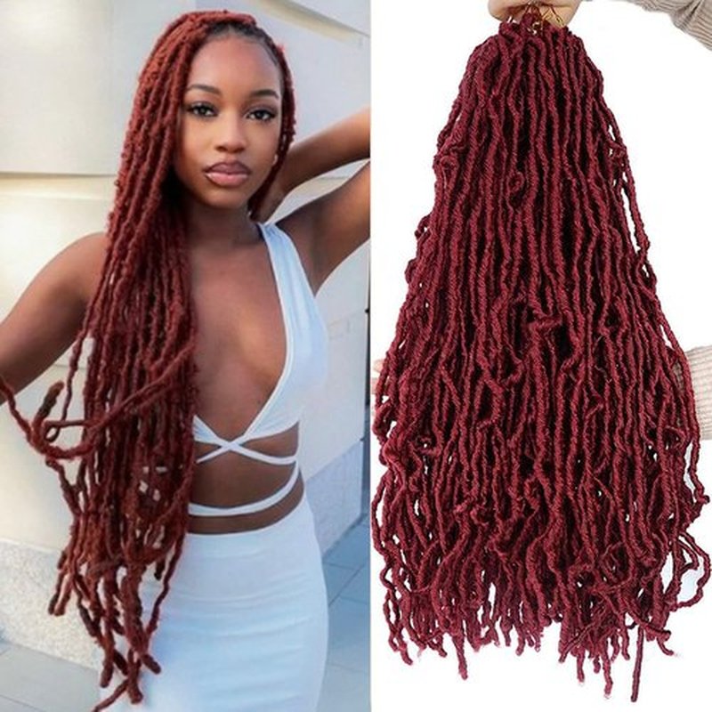 24Inch Soft Locs Crochet Hair 2 Packs Faux Locs Crochet Hair (24 Inch (Pack of 2), Bug) …