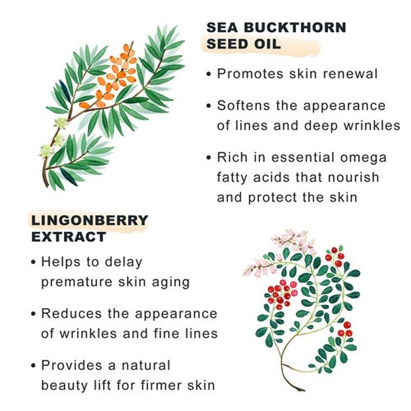 Lumene [Lumo Nordic Bloom Anti-Wrinkle + Firming Daily Face Moisturizer - Anti Aging Cream for Visibly Firm, Radiant & Smooth Skin - Formulated with Pre-Retinol Complex + Lingonberry Extract (50ml)