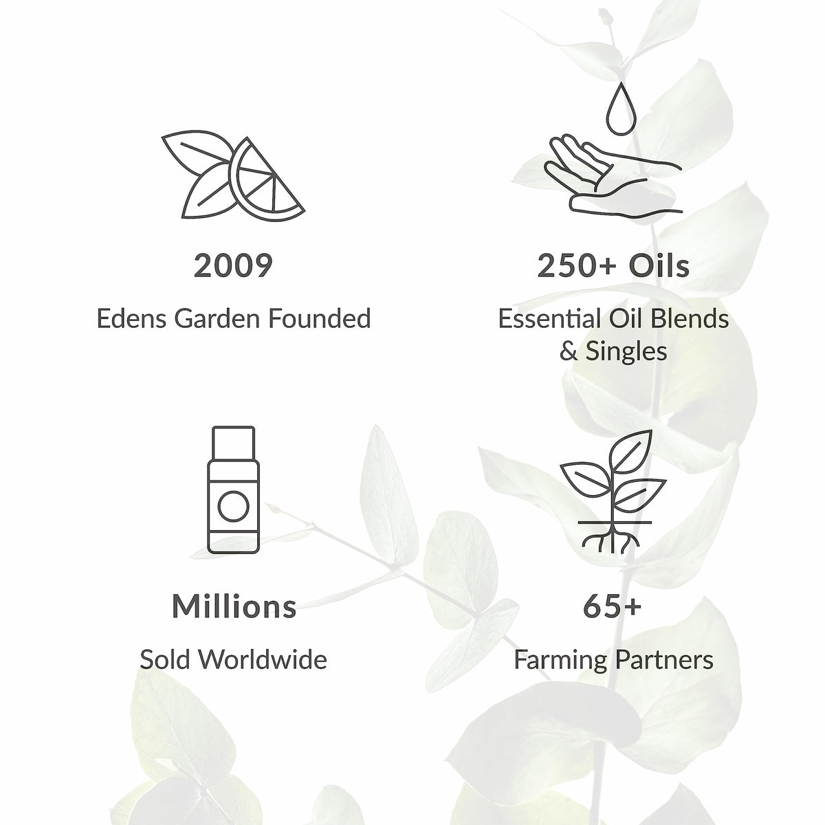 Edens Garden Frankincense- Carterii Essential Oil- 100% Pure Premium Grade, Undiluted, Natural, Therapeutic, Aromatherapy, The Best for Diffuser, Face, Candle, Hair 10 ml (.33 fl oz)