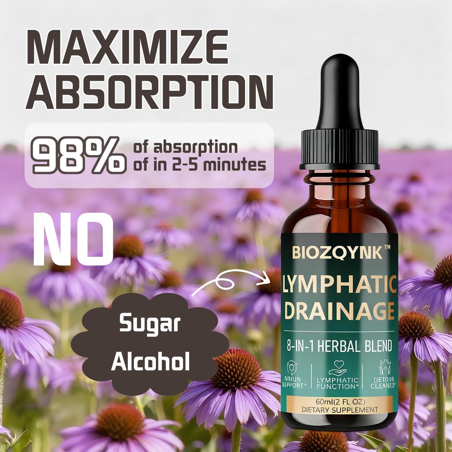 BIOZQYNK Lymphatic Drainage Liquid Drops – Herbal Extracts & Botanicals for Circulation, Immune & Detox Support – Alcohol-Free, Vegan (2 fl oz)