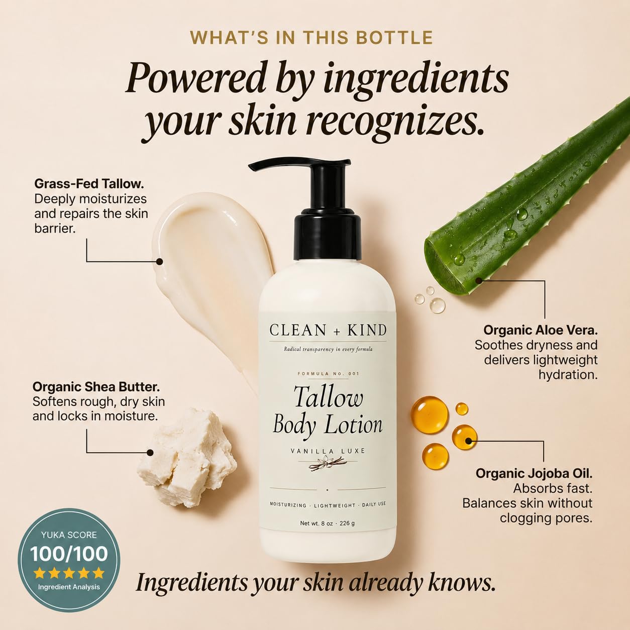 Clean + Kind Vanilla Tallow Body Lotion — Hydrating Non-Toxic Natural Body Moisturizer & Cream, Grass-Fed Beef, Organic Shea, Jojoba, Coconut MCT & Aloe for Dry Sensitive Skin (8 oz)