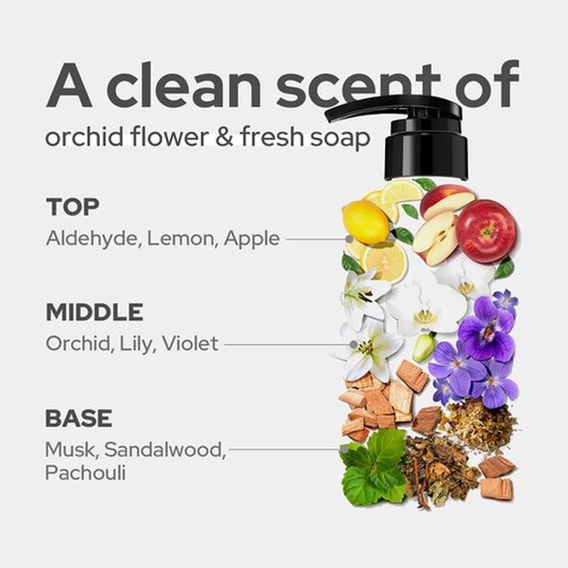 DUFT&DOFT Sophy Soapy Perfumed Body Wash with Coconut Oil - Deep Cleansing With Six Blue Herbs - Refreshing & Moisturizing Natural Ingredients - Paraben Free 17.6 fl oz