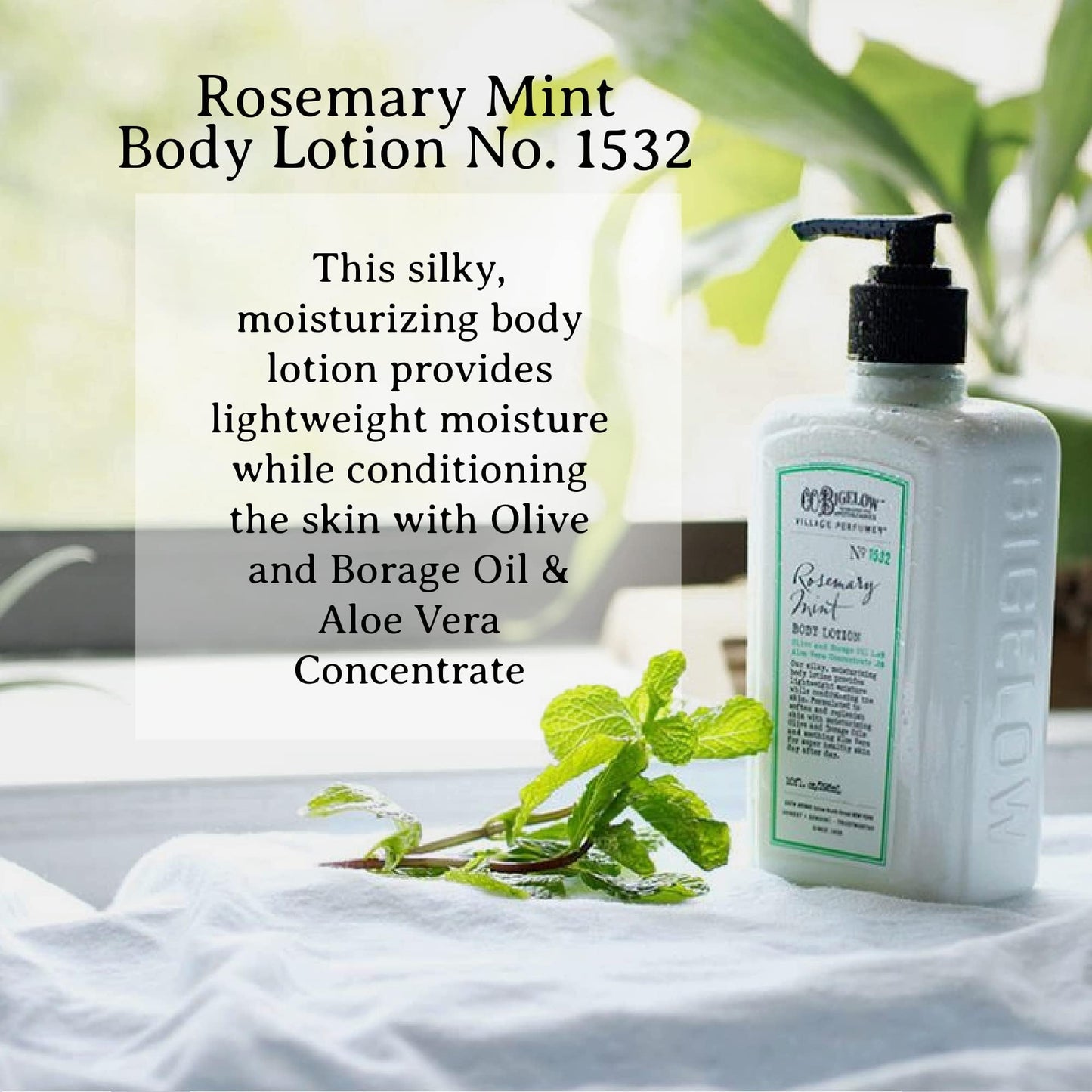C.O. Bigelow Rosemary Mint Apothecary Duo Skin Care Gift Set, Body Wash & Body Lotion, Liquid Soap & Moisturizing Lotion, Set of 2, 10 Fl Oz